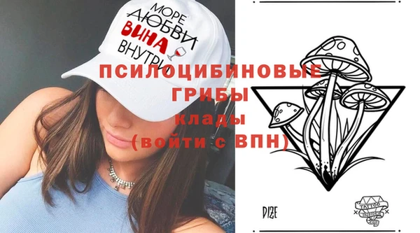 соль ск Ступино